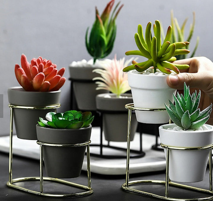 Pot Stand for Plants - Happy Shopping